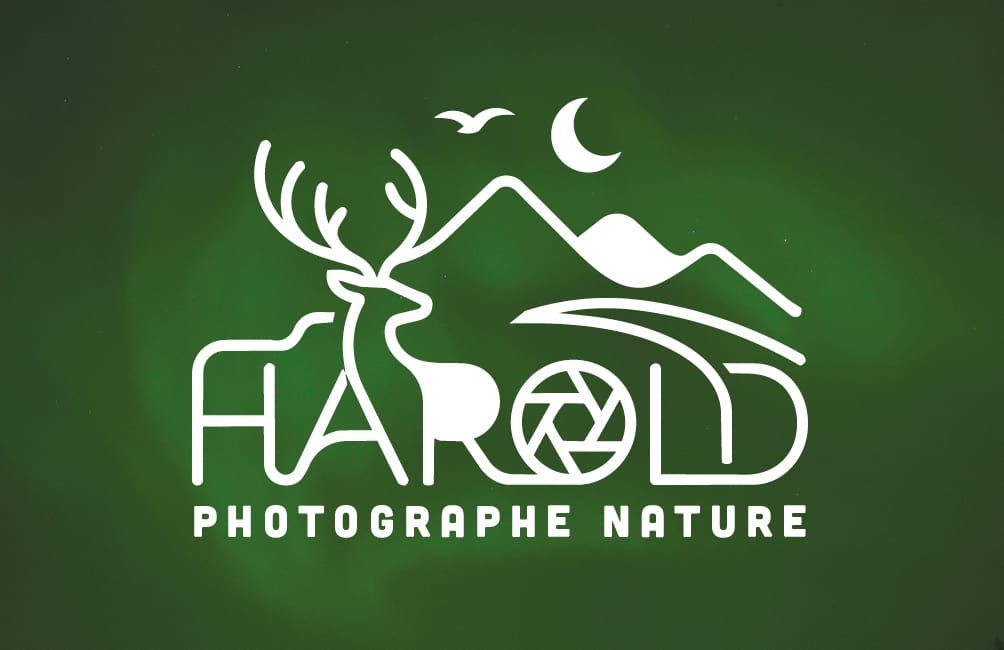 Logo blanc sur fond vert : un cerf devant des montagnes sous la lune, avec un diaphragme d'objectif intégré au lettrage et la mention « Photographe nature »